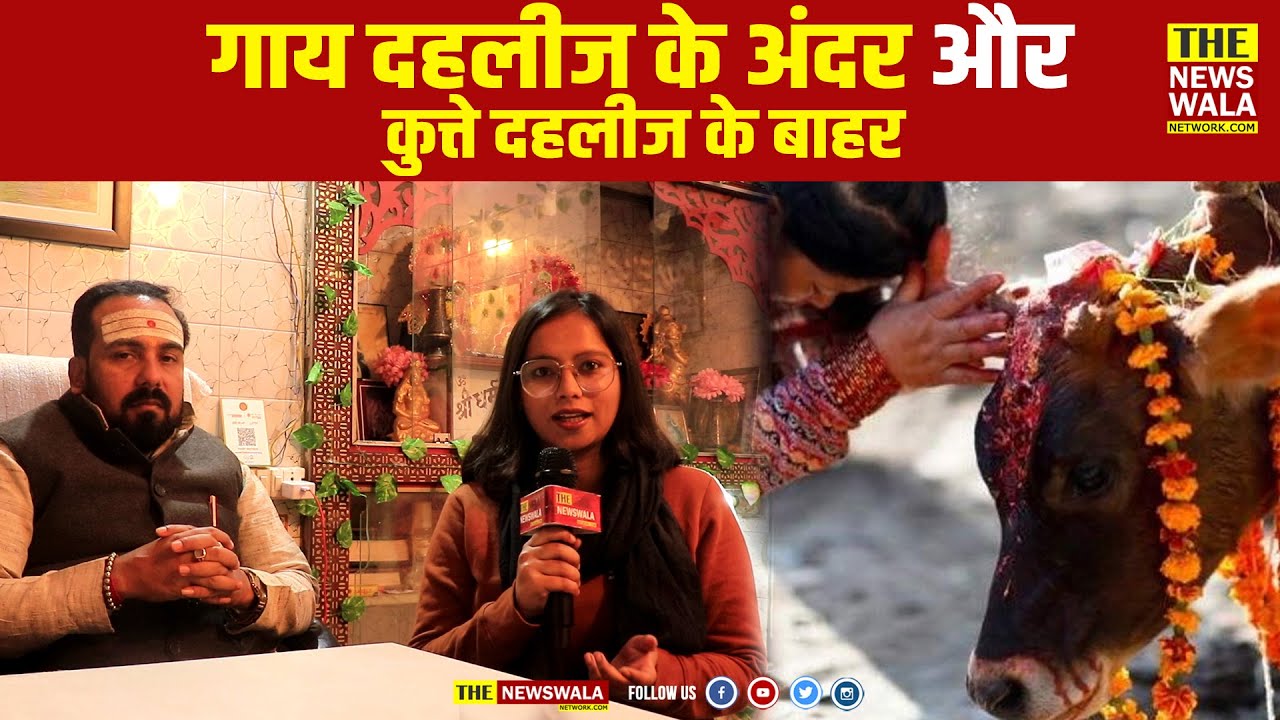 गाय से एक दिन का प्रेम तो यह वीडियो आपके लिए है!